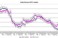 Indeks biznesu PKPP Lewiatan III 2013