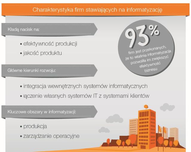 Informatyzacja przedsiębiorstwa po polsku