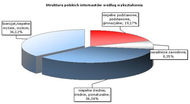 Polskich internautów portret własny