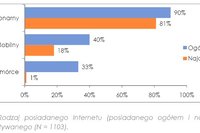 Internet mobilny w Polsce 2010