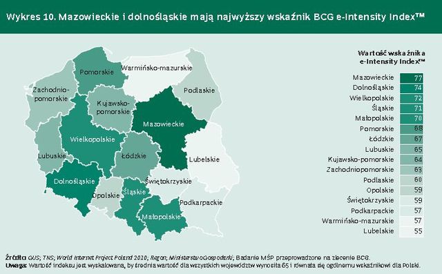 Polska gospodarka internetowa 2011