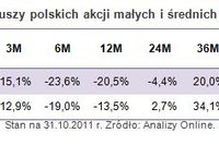 Fundusz małych i średnich spółek ma potencjał