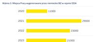 Miejsca Pracy wygenerowane przez niemieckie BIZ w rejonie CESA