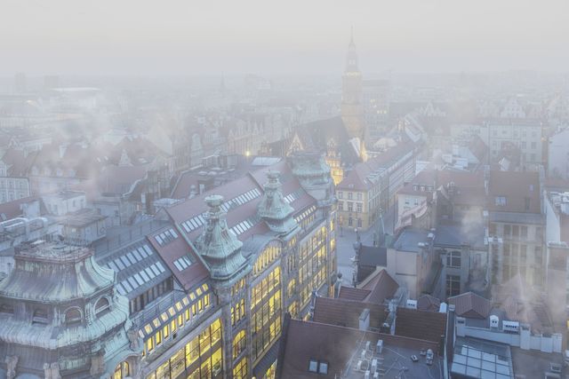 Co Polacy wiedzą o smogu? 