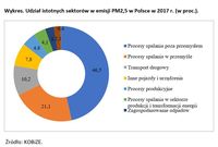 Udział istotnych sektorów w emisji PM2,5 w Polsce w 2017 r. (w proc.).