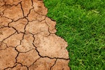 Zmiany klimatu: jak przygotować się na susze, powodzie i inne katastrofy?