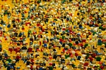 Klocki Lego najpopularniejszą zabawką w polskim Internecie