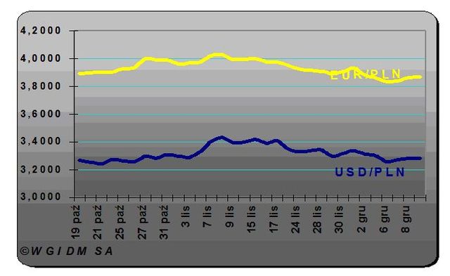 Złoty wraca do wzrostów