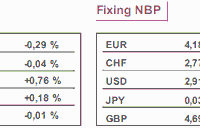 Bank Japonii nie radzi sobie z deflacją