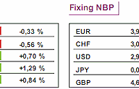 GPW: notowania WIG20 spadły o 0,56%