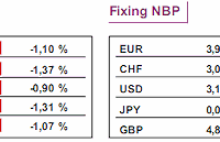 Indeks NIKKEI w dół o 3,6 proc.