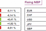 Indeks Nikkei przerwał trzydniową serię spadków