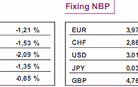 Kurs euro stracił dziś do dolara 1%