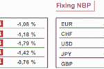 Tydzień: inflacja w strefie euro, Polsce, USA i GB