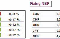 USA: Fed nikogo nie wzruszył