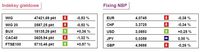 Indeksy giełdowe/Fixing NBP