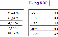 Węgierski rating powstrzymał zwyżkę