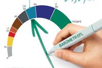 Barometr EFL: kondycja finansowa MSP I kw. 2015