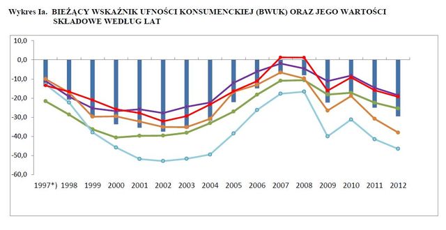 Koniunktura konsumencka VI 2013