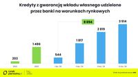 Kredyty z gwarancją wkładu własnego udzielone na warunkach rynkowych