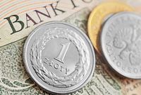 Czy warto inwestować w polską walutę?