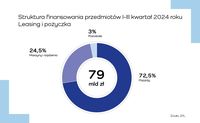 Struktura finansowania przedmiotów I-III kw. 2024. Leasing i pożyczka