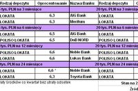 Najlepsze lokaty bankowe VI 2009 Najlepsze lokaty bankowe VI 2009