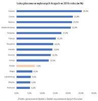 Luka płacowa w wybranych krajach w 2016 roku (w %)