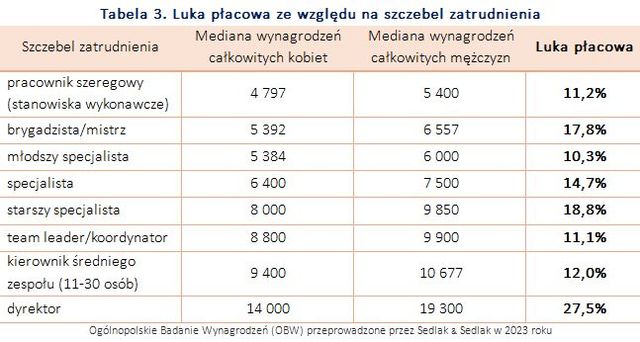 Luka płacowa w 2023 roku