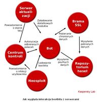 Jak wygląda interakcja bootkita z serwerami