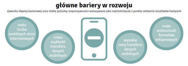 Marketing mobilny w Polsce 2014 