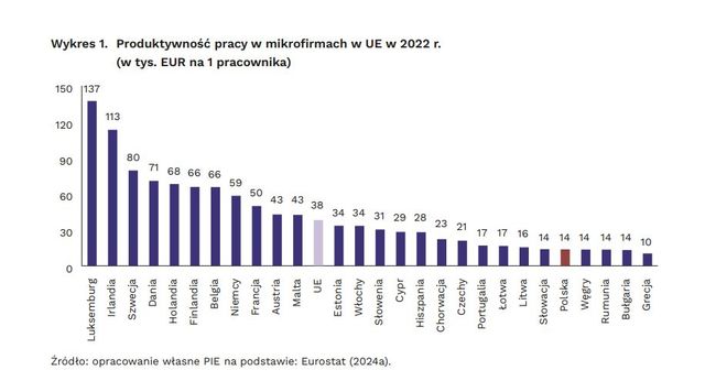 Mikrofirmy w Polsce, czyli niska produktywność pracy i wysokie koszty