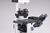 Mikroskop z aparatem