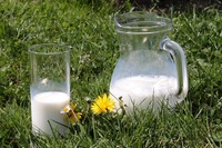 Polskie mleko nawet na Dominikanie. Branżę napędza eksport
