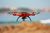 Pierwsza Komunia Święta: dron i quad w prezencie