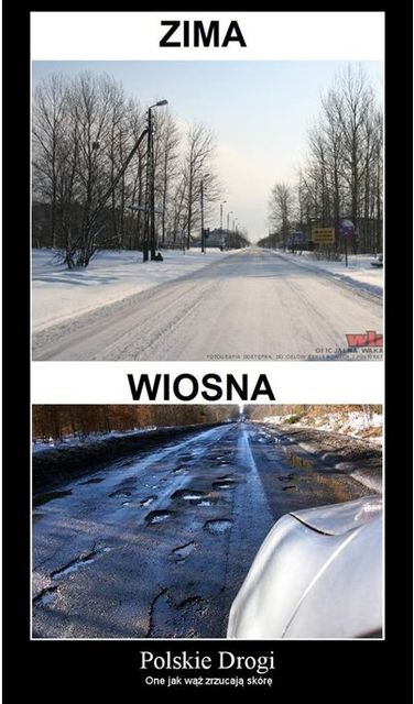 Polskie drogi w social media