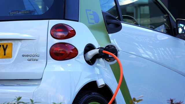 Coraz więcej elektrycznych samochodów użytkowych