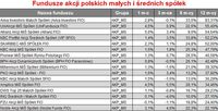 Fundusze akcji polskich małych i średnich spółek