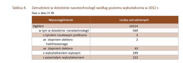 Nanotechnologia w Polsce w 2012 r.
