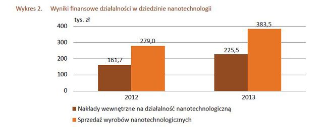 Nanotechnologia w Polsce w 2013 r.