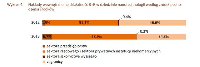 Nanotechnologia w Polsce w 2013 r.