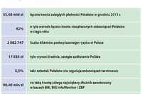 Lista dłużników 2011