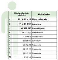 10 najbardziej zadłużonych osób w Polsce