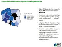 Łączna kwota zadłużenia w podziale na województwa