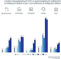 Liczba niewypłacalnych firm w poszczególnych sektorach w kolejnych latach