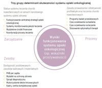 Trzy grupy determinant skuteczności systemu opieki onkologicznej
