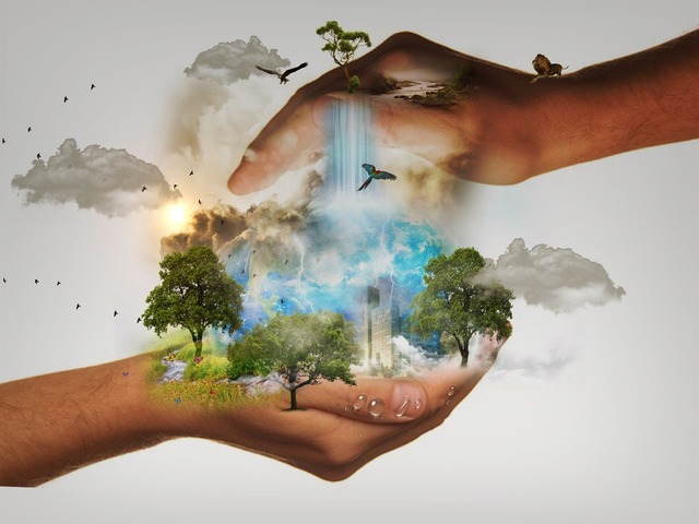 Ochrona środowiska: firmy coraz bardziej świadome?