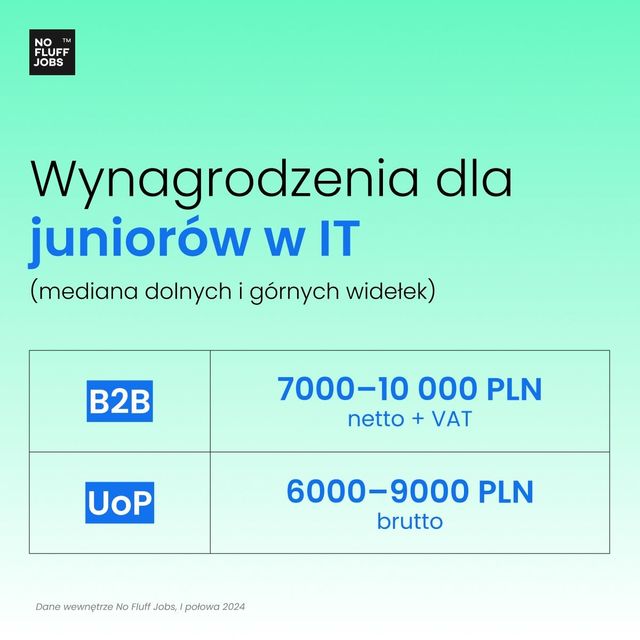 Branża IT to eldorado? Nie dla juniorów