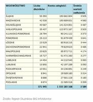 Liczba dłużników i kwota zaległości - województwa
