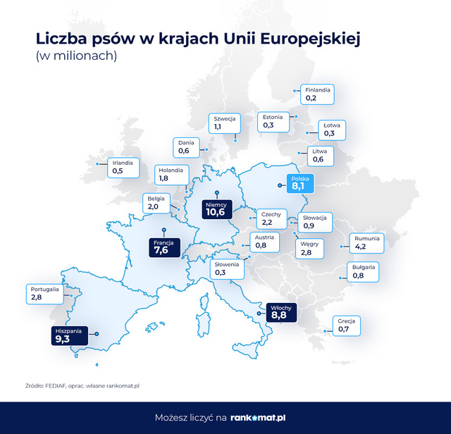 Pies lub kot w co drugim polskim domu